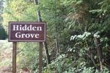 hidden_grove_trail 001